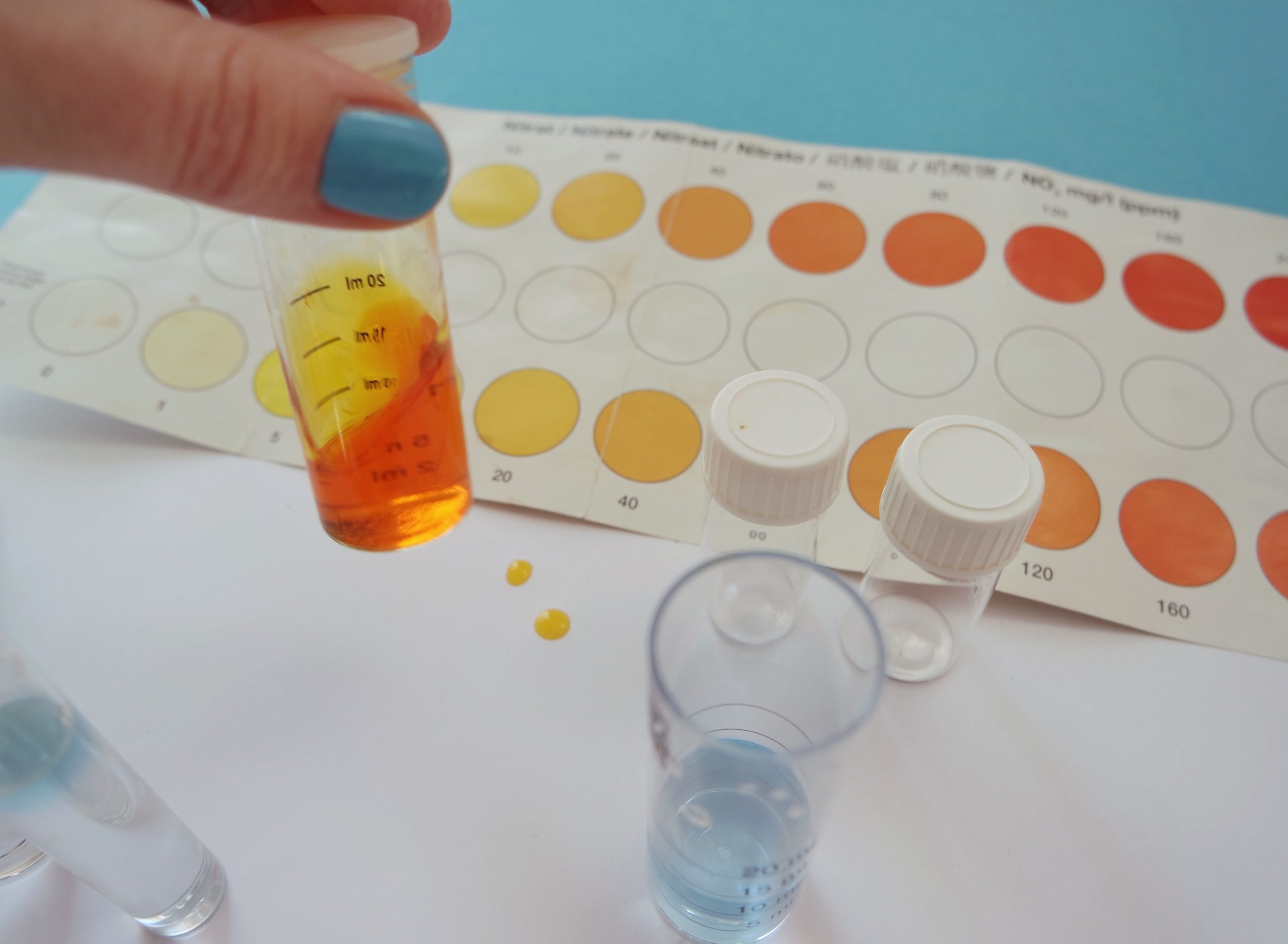 testing aquarium water